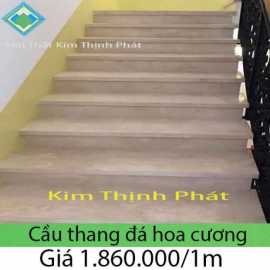 Đá cầu thang 1008